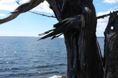 Point Au Roche State Park, NY