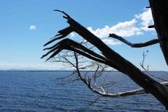Point Au Roche State Park, NY