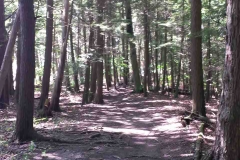 Point Au Roche State Park, NY