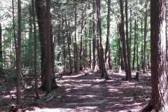 Point Au Roche State Park, NY