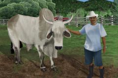 Susan-Baus_Juan-Tabin-and-Bull