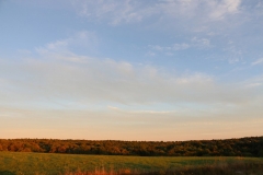 Fall_Treeline_Sky