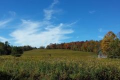Field_Farm_Catskills
