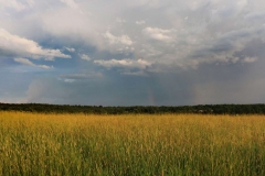 Hilltop_2