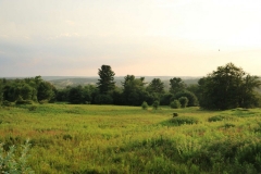 Hilltop_West_1