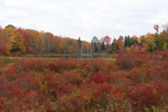 Pond_Monticello_1