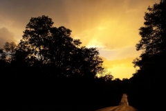 Sunset-Yellow-Road