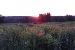 Sunset-at-Silo_2