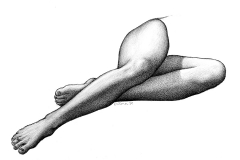 Jeffrey-Wiener_Legs