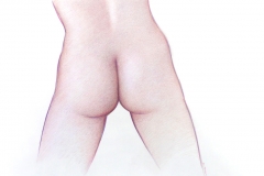 Jeffrey-Wiener_Model_Posterior