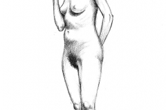 Jeffrey-Wiener_Standing-Female-pairshaped