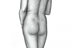 Jeffrey-Wiener_Tonia_Rearview