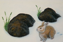 Jeffrey-Wiener_Tracks-in-Time_Rabbit