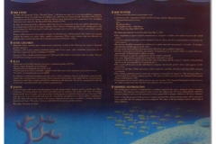 debeers_coverBACK