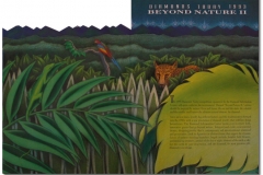 debeers_coverINSIDE