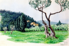 Fiesole