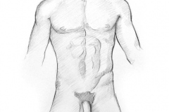 Jeffrey-Wiener_Doug-Torso