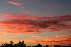Florida_Sunset2