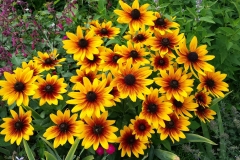 Jeffrey-Wiener_Florals