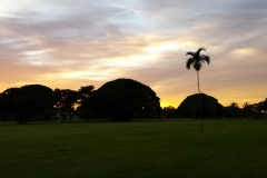 Miami_Sunset
