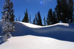 SierraNevadas_5crct