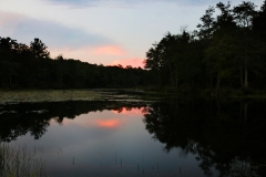 SwingingBridge_1