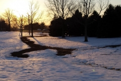 Trees_SnowCover