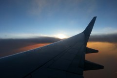 Wing