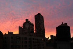 NYC_Landscape_Fall-2013