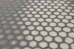 Walkway_afterrain