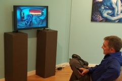 WAAM Exhibit, 2017